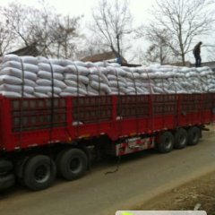 河南通许三樱椒辣椒早买早赚