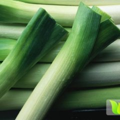 山东滕州铁杆大葱逐渐升温