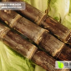 博白甘蔗著名品牌,三滩胡平诚信合作