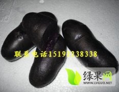莱阳黑土豆供应，皮黑色，肉黑紫色，表皮光滑