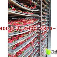 金乡卜集薛经理12月三鹰干辣椒