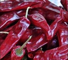 忻府辣椒著名品种,山西罗建宇诚信合作