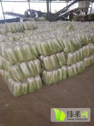 2014年山东肥城北京新三号价格