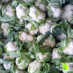 河南博爱雪玉菜花香甜可口