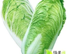 河南博爱北京新三号白菜是名优特产