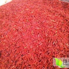 河南通许三樱椒辣椒营养丰富