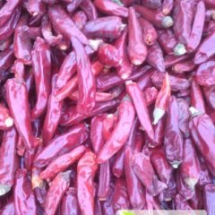 民权辣椒何去何从,龙塘轩诚信合作