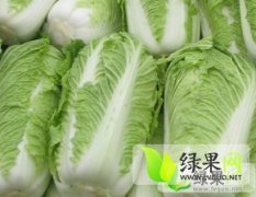 山东青州北京新三号白菜