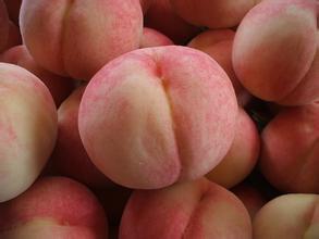 昌邑蜜桃早买早赚,北孟吴文浩诚信合作