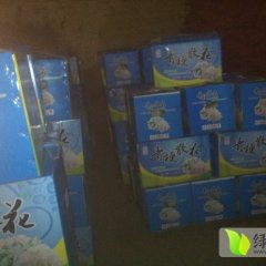 黄集镇万亩无公害蔬菜花菜