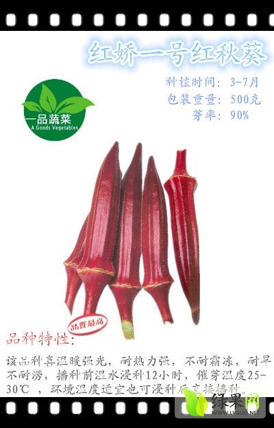 2014年山东莱阳红秋葵种子价格