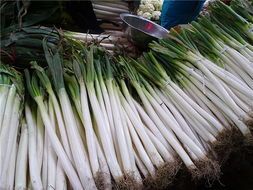 费县大葱名扬天下,上冶英先生诚信合作