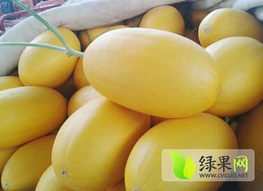 2014年山东青州黄皮金辉价格