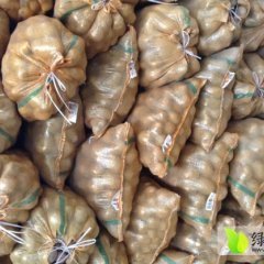 西固土豆价格行情平稳,牌坊杨俊凤诚信合作