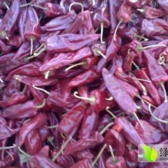 2014太谷辣椒抓住商机无限