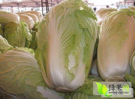 2014年山东滕州北京新三号价格