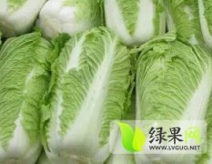 2014肥城白菜钱多人傻速来抢购