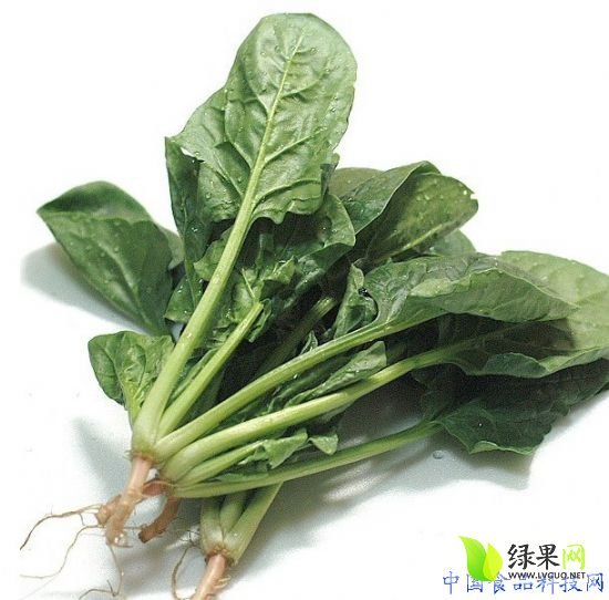 2014年山东岱岳大叶菠菜价格