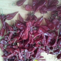 太谷太谷杨建11月北京红辣椒