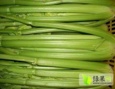 2014商河芹菜再不来就没机会了！