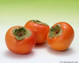 万荣高村席旭恒11月冷冻小柿子