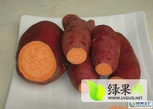 2014年山东临沭徐薯18号价格