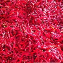 天津宁河津红辣椒价格适宜