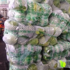 湖北宜城娃娃菜其他蔬菜价格行情平稳