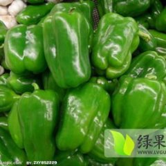 山东费县麻辣辣椒产销两旺