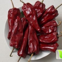 开鲁东风武安龙11月北京红干椒其他蔬菜