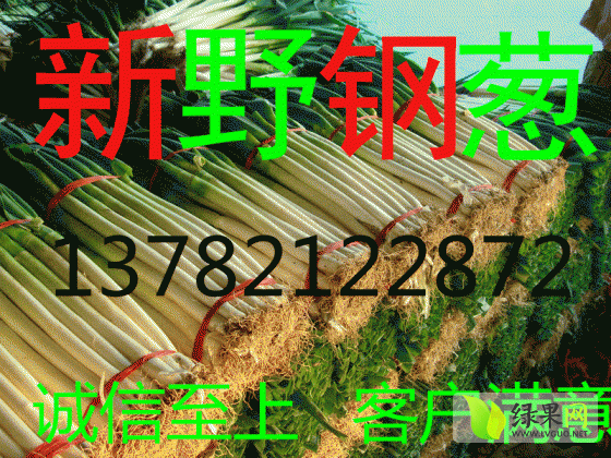 2014年河南新野铁杆大葱价格