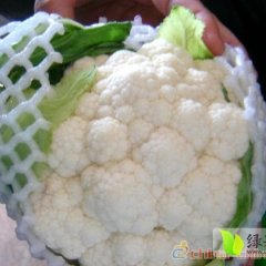 2014扶沟菜花再不来就没机会了！