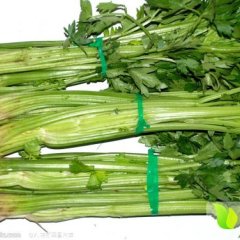 扶沟芹菜假一赔十,吕潭王建山诚信合作