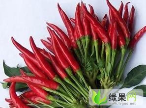 河南通许三樱椒