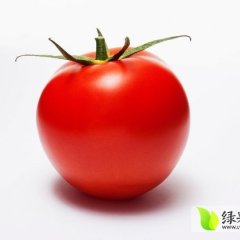 费县西红柿名扬天下,薛庄翟明松诚信合作