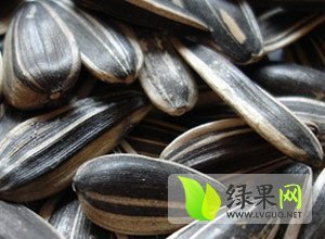 四子王旗大南张先生10月3638葵花