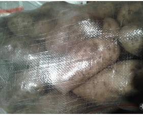 太仆寺旗土豆香甜可口,宝昌李建飞诚信合作