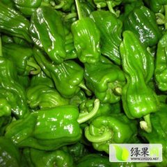 山东费县砀椒三号辣椒口感爽口