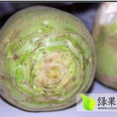 曲周芥菜质量上乘,富阳刘先生诚信合作