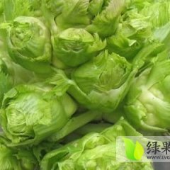 四川邛崃儿菜 抱子芥