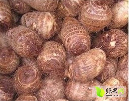 2014年山东滕州8520毛芋头价格