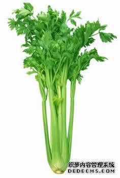柘城陈青新鲜优质西芹大量批发