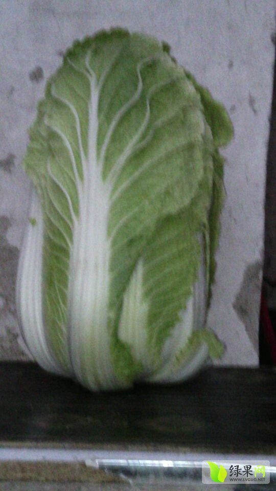 2014年河南夏邑87-114白菜价格