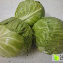 嘉鱼甘蓝名优产品,潘家赵兰诚信合作