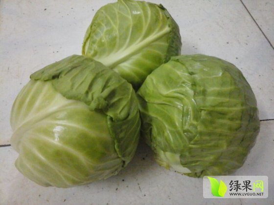 2014年湖北嘉鱼中甘21甘蓝价格