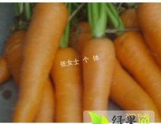 隆尧山口姜庆礼11月红萝卜