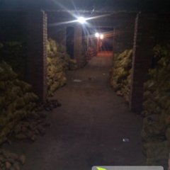 元氏红薯营养丰富,苏阳李思梦诚信合作