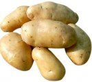2014喀喇沁旗土豆大量上市。土豆皮毛好