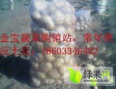 河北围场克新土豆绿色无污染 品质好