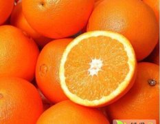 麻阳兰里龚凯12月麻阳冰糖橙柑橘